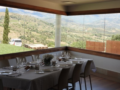 View from Alvaro Palacios' dining room at the winery