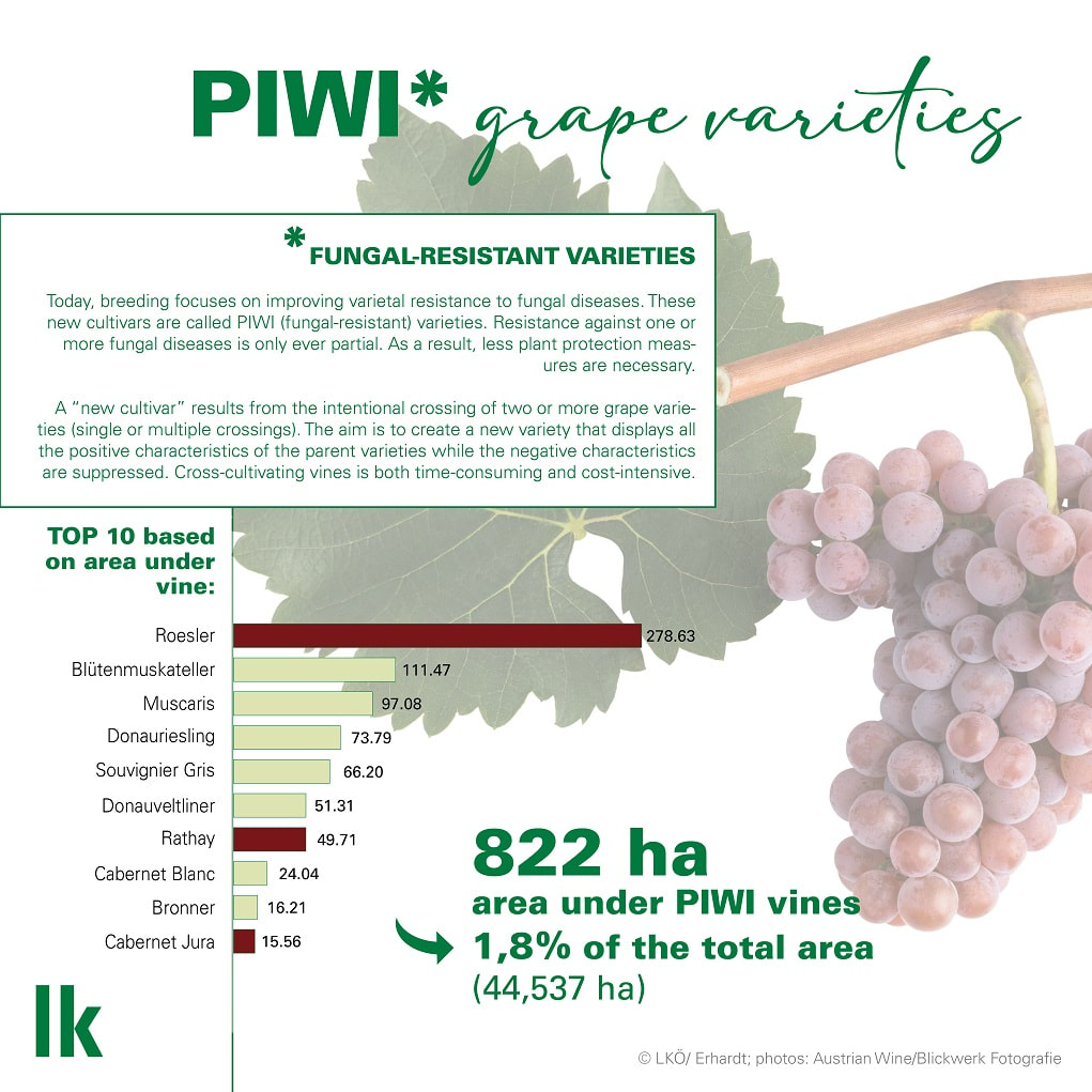 PIWI Grape varieties Austria wine