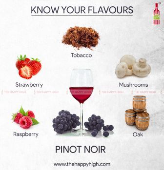 Pinot Noir infographic